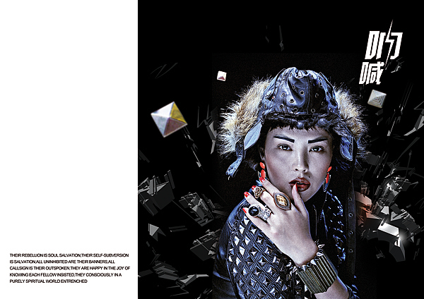 芭莎摄影品牌手册