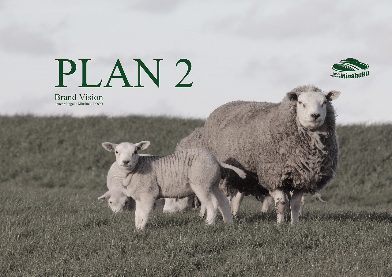 内蒙古民宿网LOGO设计