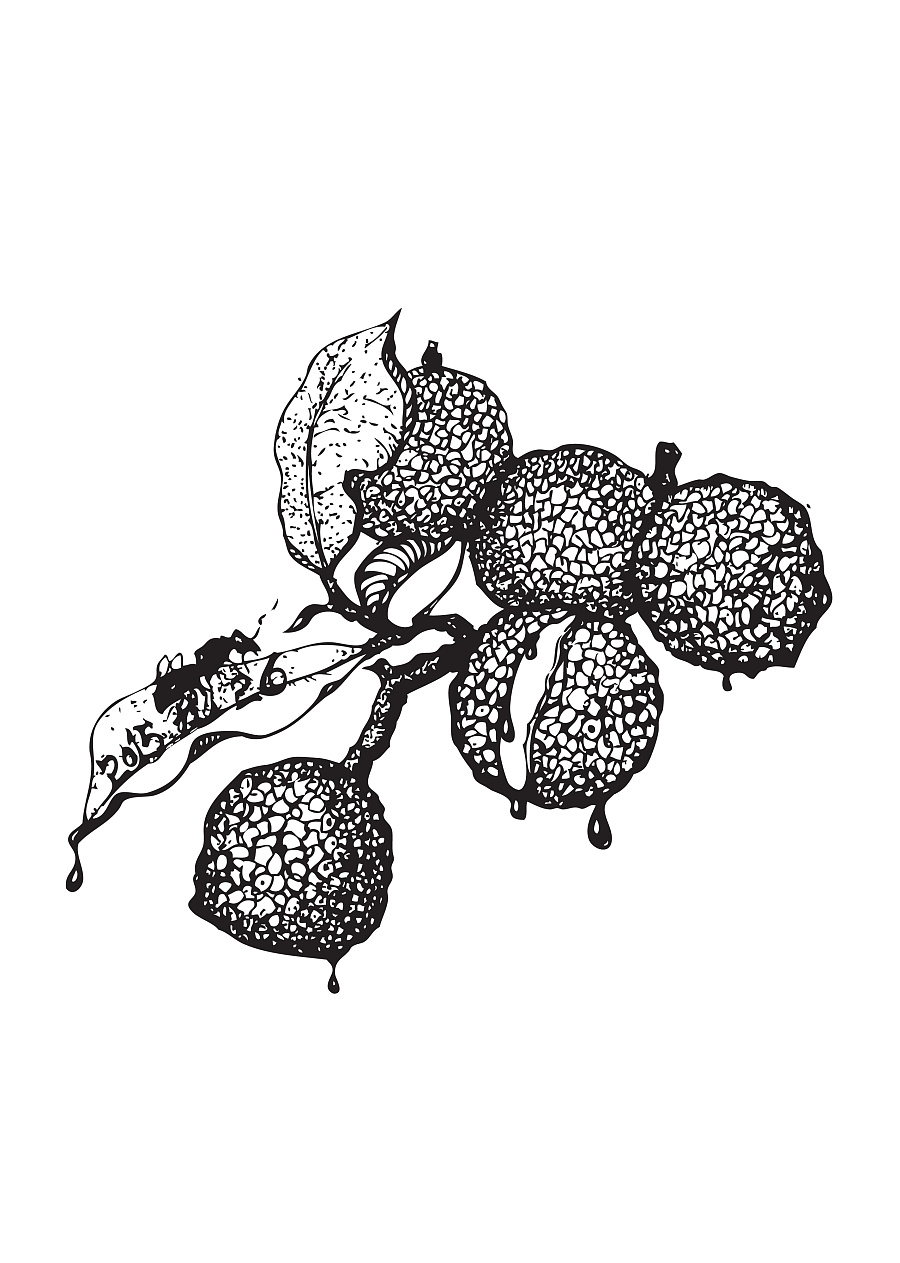 原创作品:钢笔素描