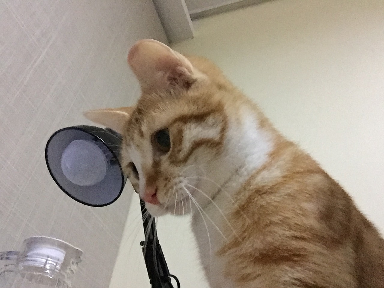 打個(gè)卡（圖ZNzQ2Mzk4NDg=） - 創(chuàng)作習(xí)作 - 站酷設(shè)計(jì)師DwenQAQ原創(chuàng)素材 - 站酷ZCOOL