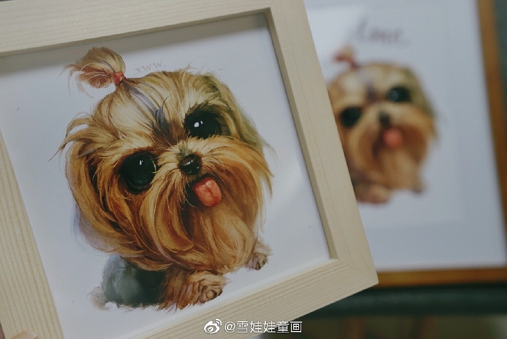 【萌宠by雪娃娃】约克夏stone