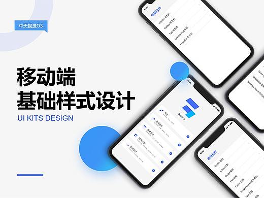 Zenith UI 基础样式