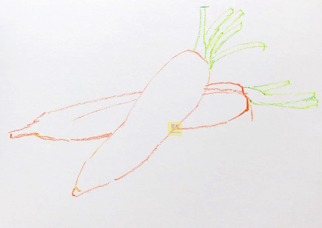 彩色胡萝卜简笔画画法图片步骤（15岁开始学画画来得及吗） - 有点网 - 好手艺