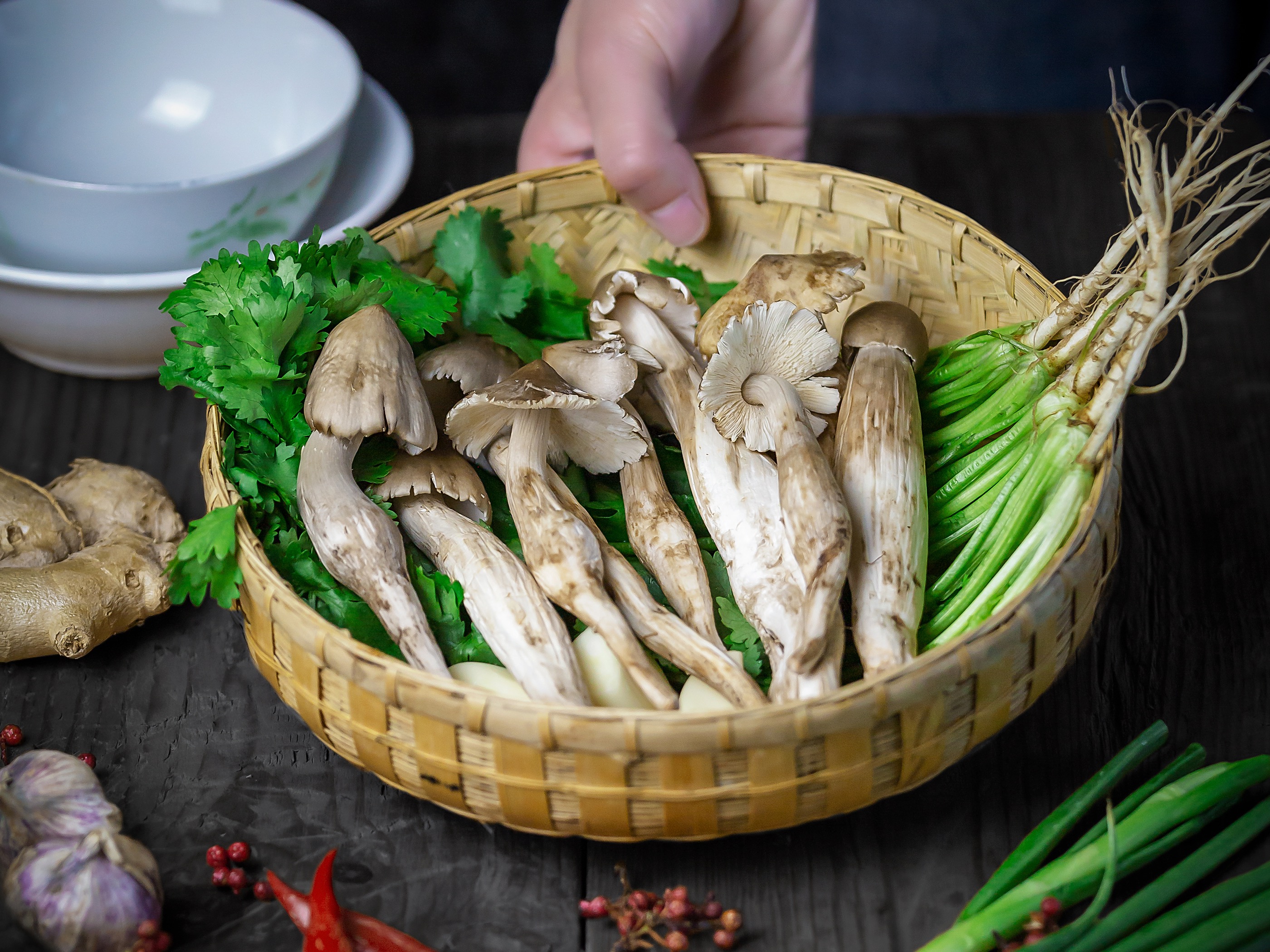 双椒鸡枞菌怎么做_双椒鸡枞菌的做法_豆果美食