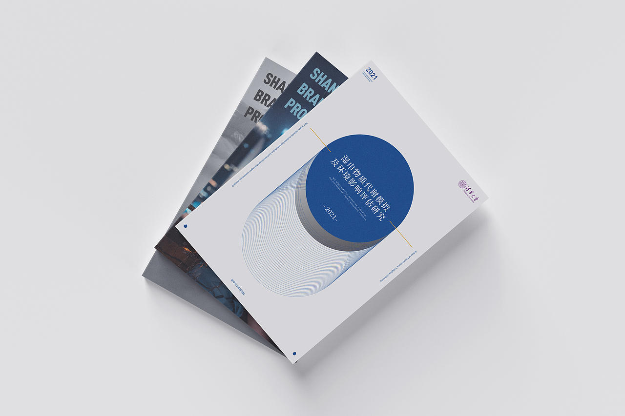 清华大学~湿巾物质代谢模拟及环境影响评估研究画册