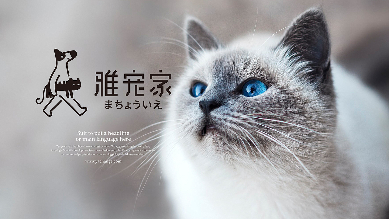 LOGO 宠物LOGO设计 猫粮包装 宠物品牌设计 vi vi设计(图ZMjYwNTYwNDEy) - Logo - 站酷设计师郑昌洪品牌vi包装原创素材 - 站酷ZCOOL