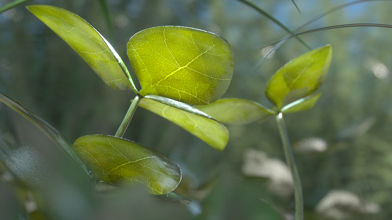 樹葉-渲染練習(xí)（圖ZMjgzNDU3OTE2） - 動(dòng)畫/影視 - 站酷設(shè)計(jì)師SherryWang123原創(chuàng)素材 - 站酷ZCOOL