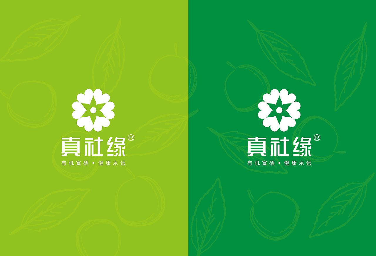 真社缘——大荔冬枣品牌形象与包装设计（图ZMTE2NzE2NTM2） - 包装 - 站酷设计师春分品牌设计原创素材 - 站酷ZCOOL