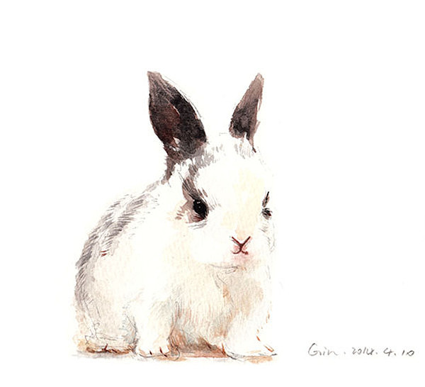 水彩动物教程(二)—小白兔