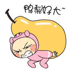 呆萌的阿猪第二弹