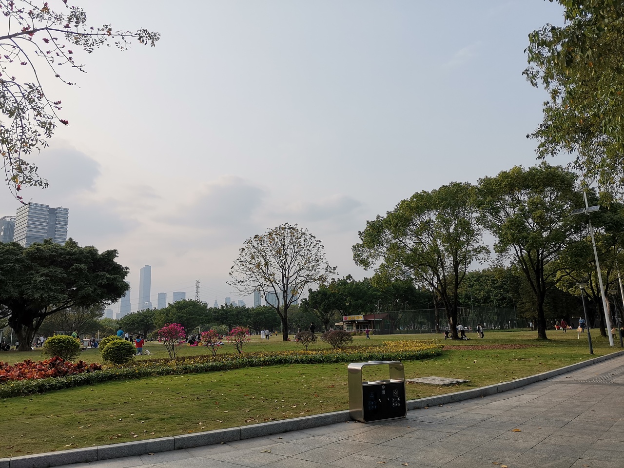 广州珠江边城市公园绿道环境优美休闲周末去处木棉花