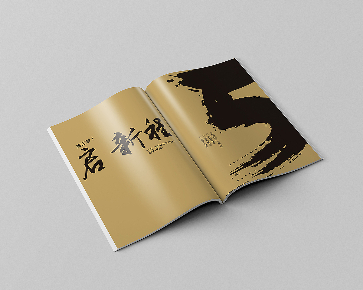 西安统筹科技资源改革示范基地5周年纪念画册