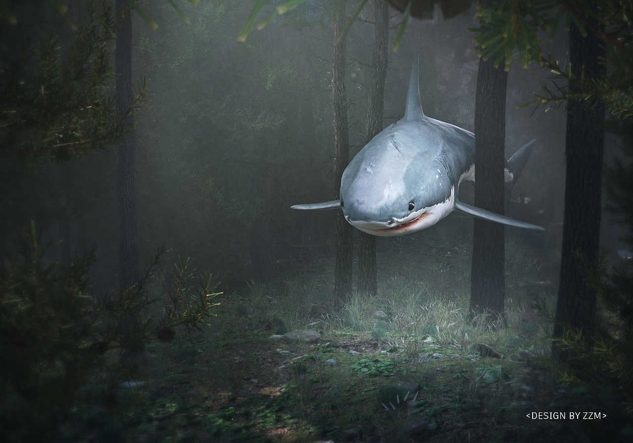 niaoniao21期課程作業(yè)總結（圖ZMzE3NDMzMDQ4） - 場景 - 站酷設計師擬噠耶原創(chuàng)素材 - 站酷ZCOOL