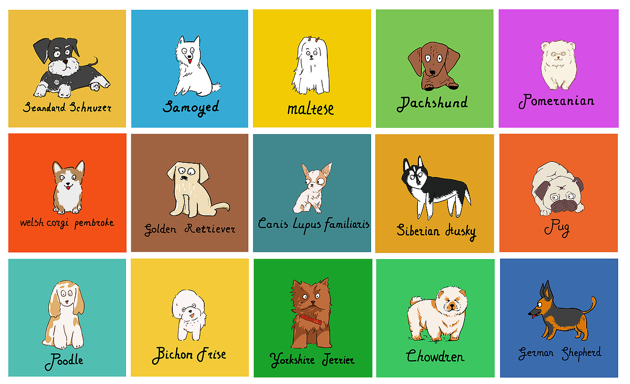 2023年随便画了一些