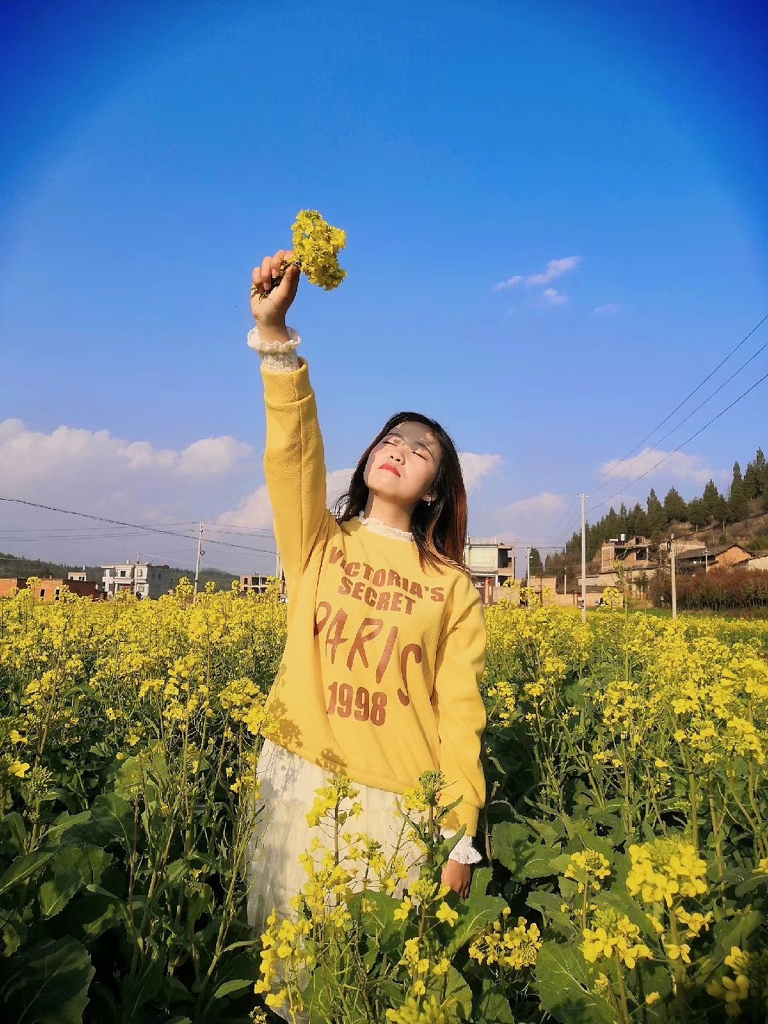 🌿【菜花记】🌿