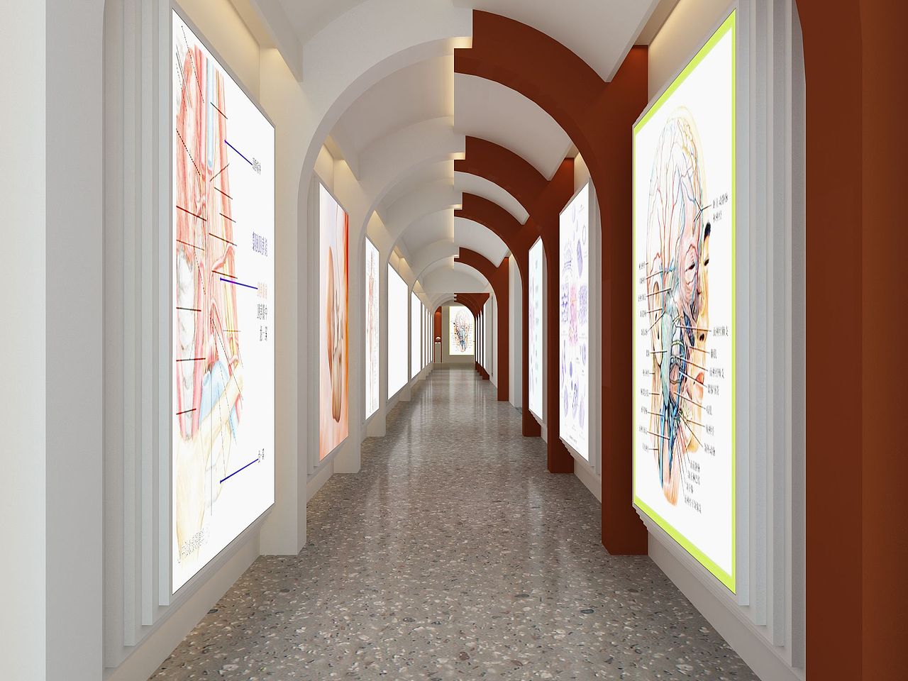 “形态学”实践(实训)展示中心