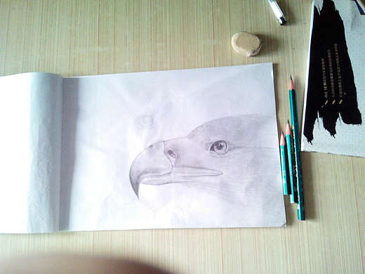 一份作品，一份新血（个人主页-ZMTI2NjU1ODQ=） - 商业插画 - 站酷设计师鬼谷子16原创素材 - 站酷ZCOOL