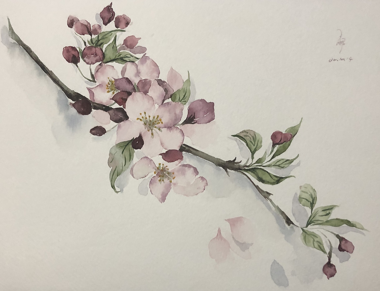 水彩花卉临摹（图ZMjYzNDczOTcy） - 绘画 - 站酷设计师埃莉西娅原创素材 - 站酷ZCOOL