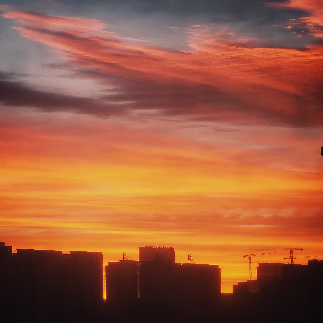 2022年生活的记录