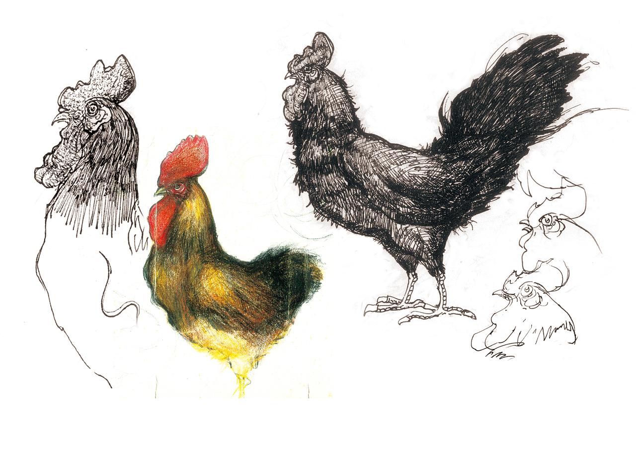 鸡（图ZMzc0NzA0MDQ=） - 绘画 - 站酷设计师songjiangxyz原创素材 - 站酷ZCOOL