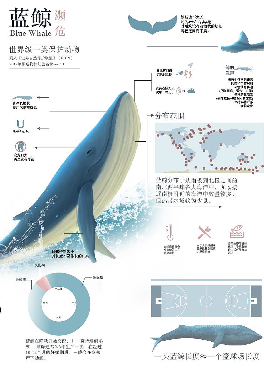 海洋信息系统设计（图ZMTkzOTI5OTU2） - 信息图表 - 站酷设计师小熊饼干呐原创素材 - 站酷ZCOOL