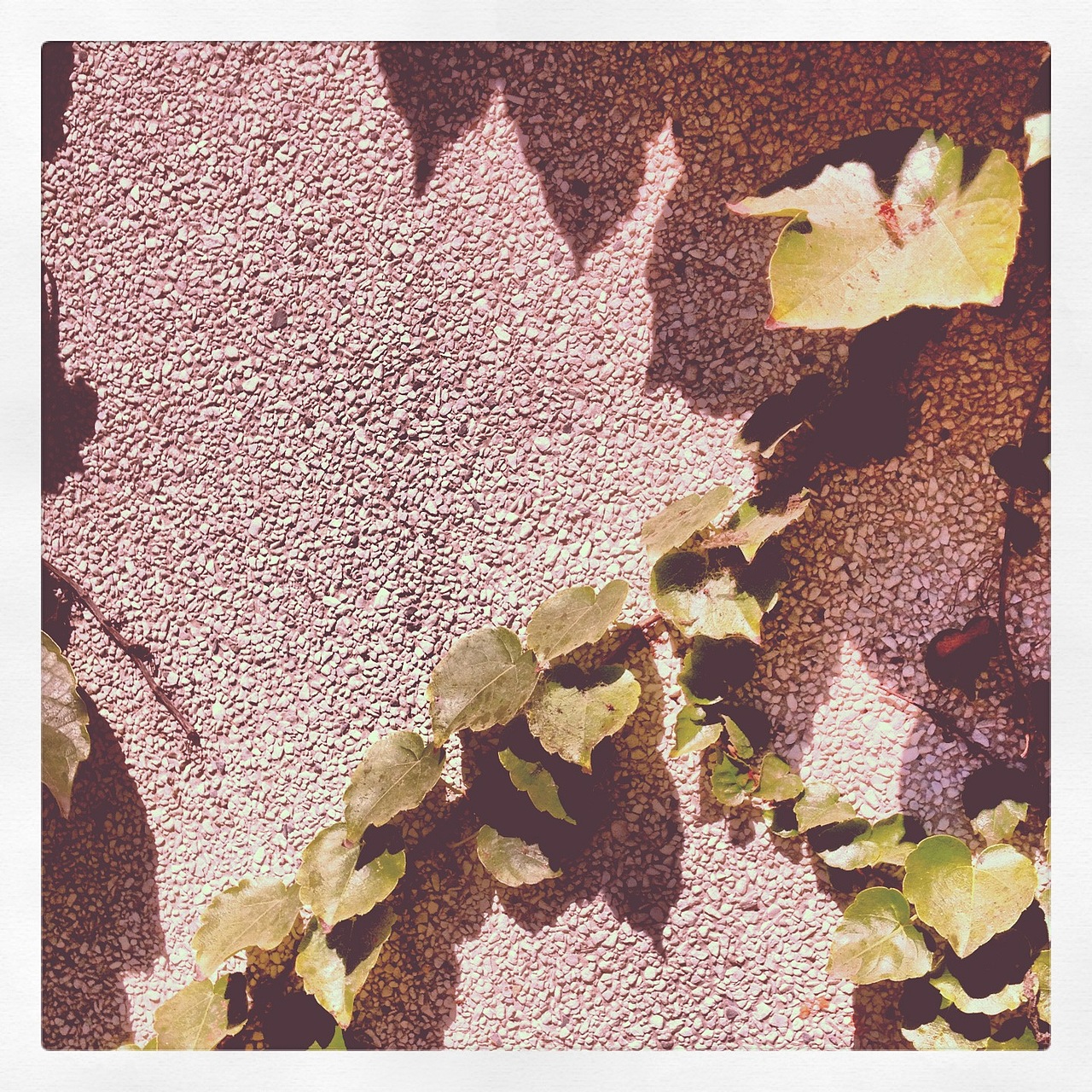 20126-201210-instagram（图ZNzE1ODUxMg==） - 风光摄影 - 站酷设计师十驎原创素材 - 站酷ZCOOL