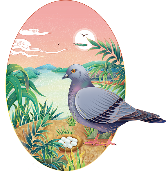 鹌鹑鸽子（图ZMjUwNDg2ODAw） - 商业插画 - 站酷设计师无厘无辑原创素材 - 站酷ZCOOL