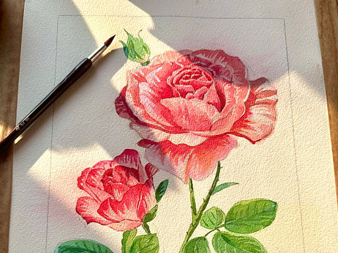 陽(yáng)光正好，適合畫畫（個(gè)人主頁(yè)-ZNjgxNzQyMjA=） - 創(chuàng)作習(xí)作 - 站酷設(shè)計(jì)師詩(shī)繪插畫原創(chuàng)素材 - 站酷ZCOOL