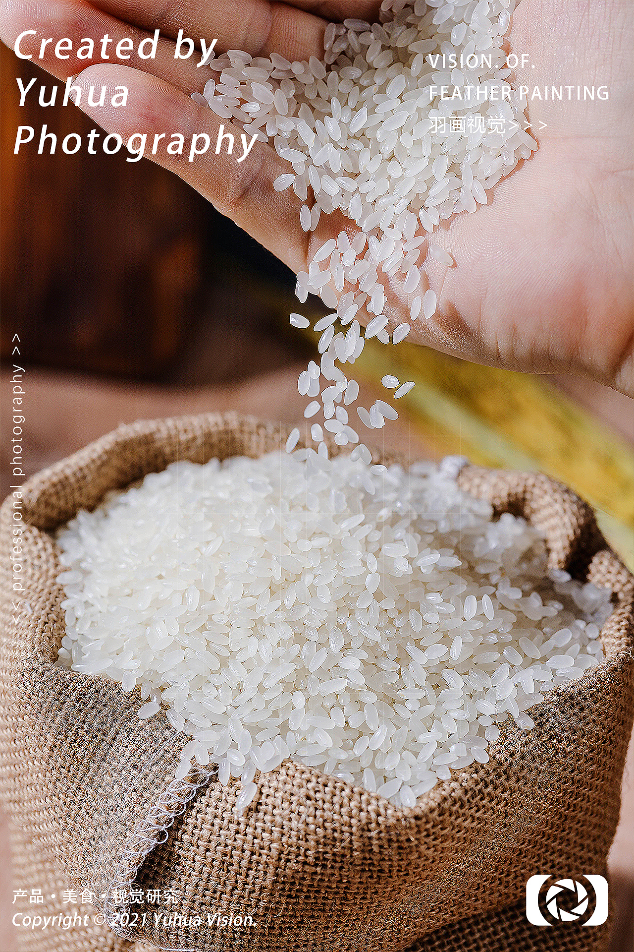 大米微景观长粒香五常大米糙米饭东北大米粮食糯米小米