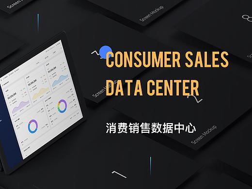 CSDC-消费销售数据项目分享