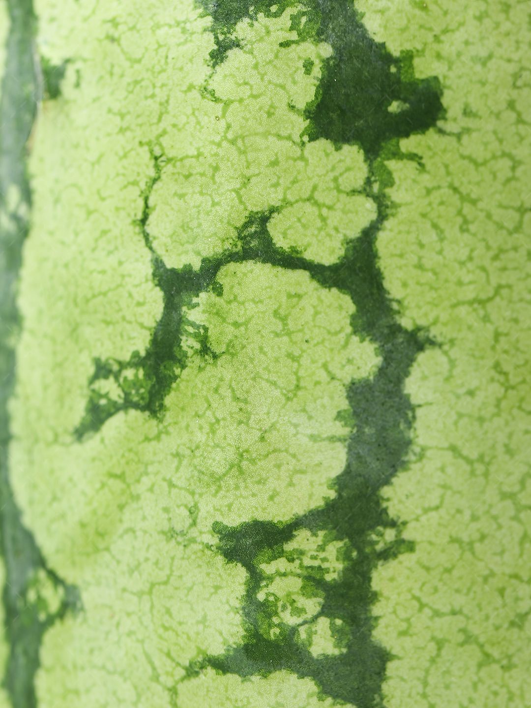 水果拍摄 I 🍉西瓜拍摄