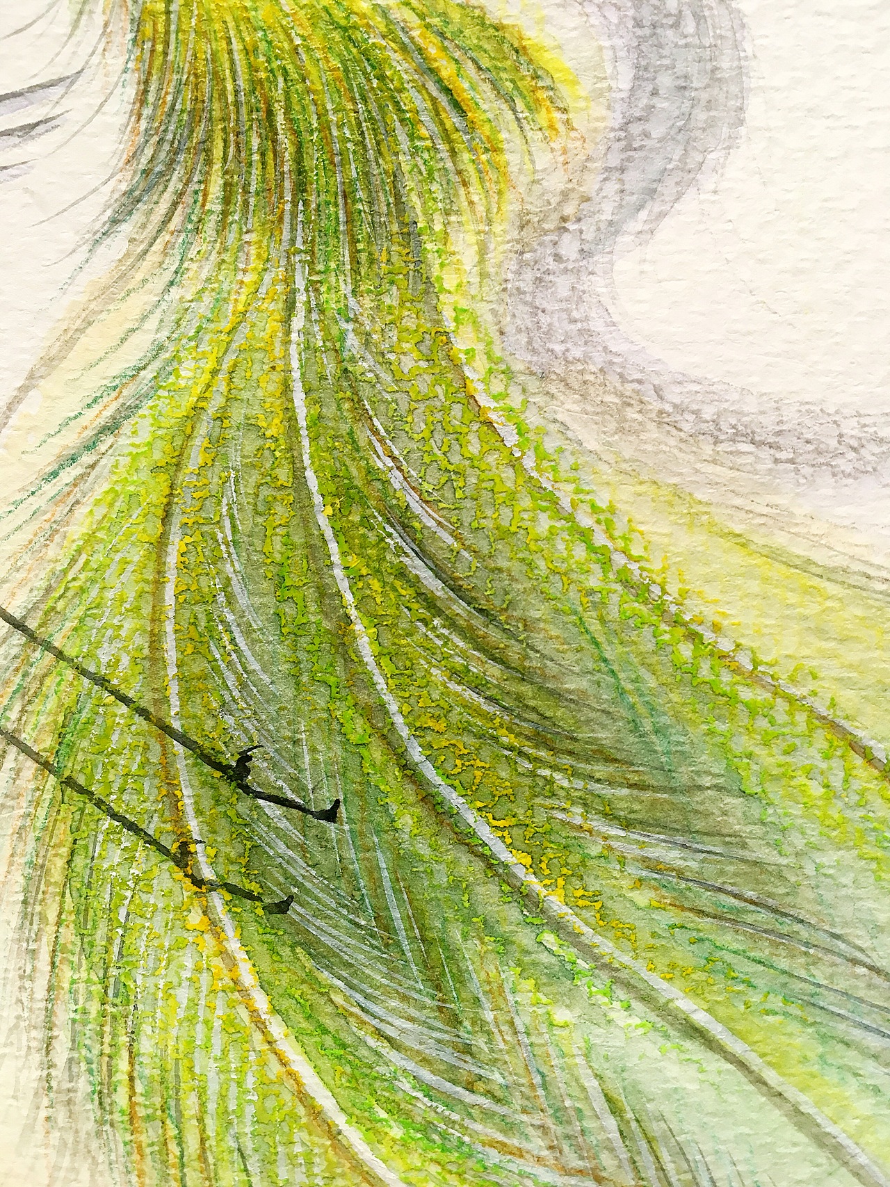 水彩插画(凤仙)（图ZMTE5ODMzNTUy） - 艺术插画 - 站酷设计师画师云木原创素材 - 站酷ZCOOL