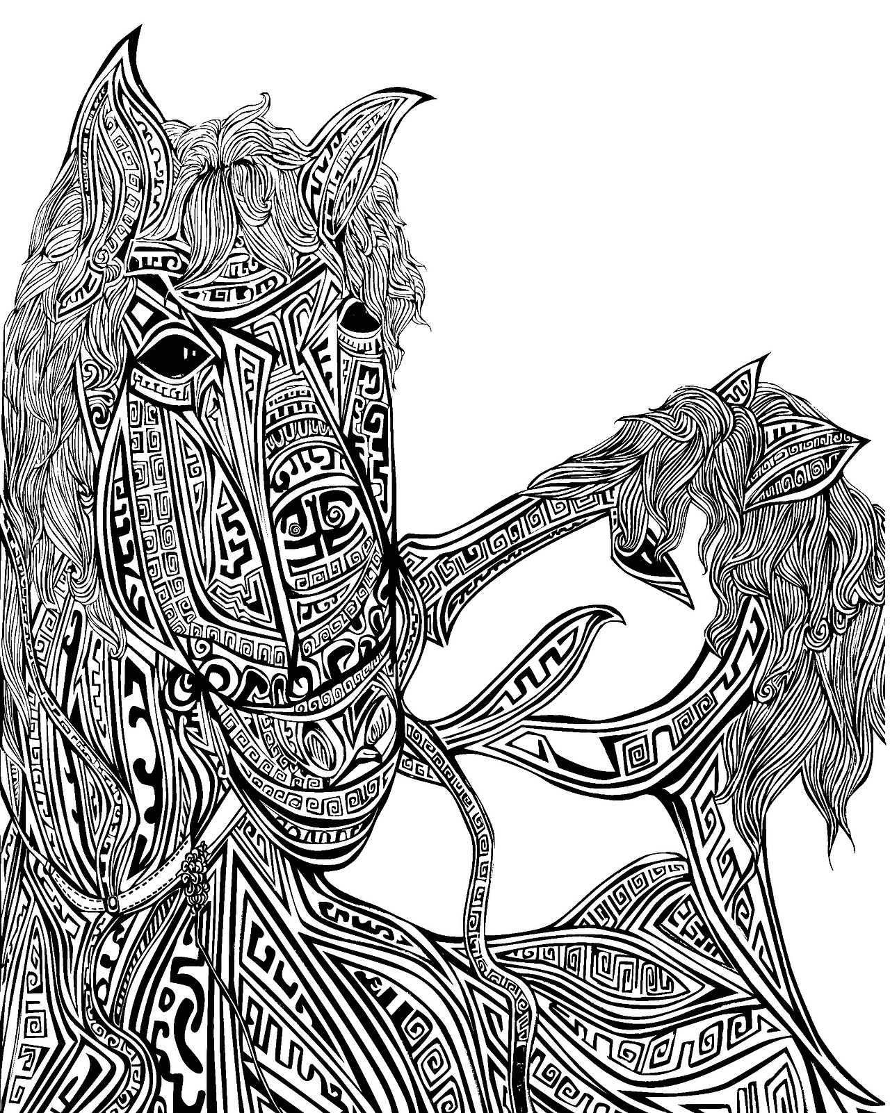 鼎元素动物插画