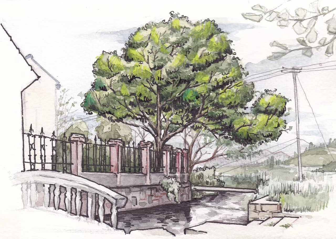 雅茹妹妹的百草园