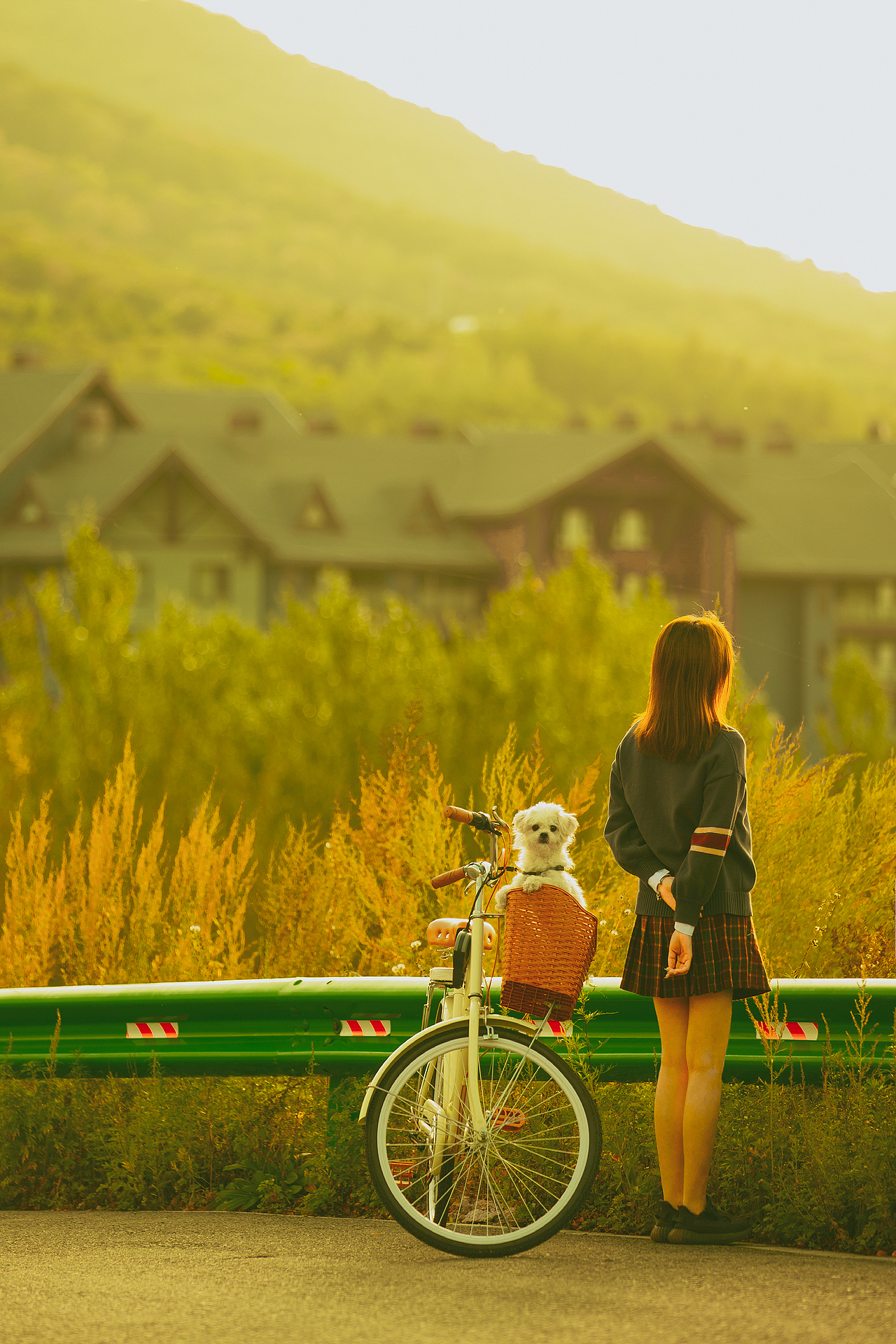 愿世界不再有流浪狗