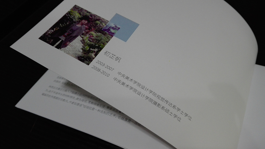 “新北京前站”画廊vi