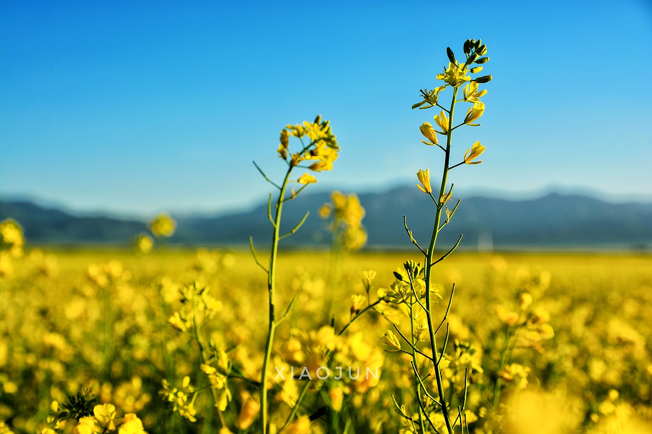 七月你好（图ZODUwOTE0MzI=） - 风光摄影 - 站酷设计师且拍且珍惜原创素材 - 站酷ZCOOL