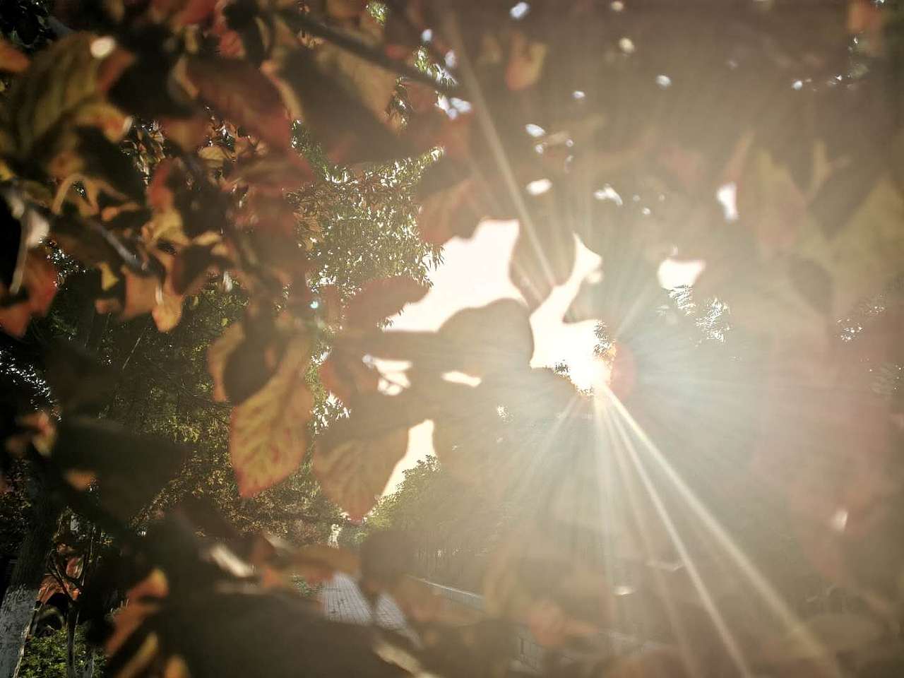 唯美意境美图图片落日阳光风景图片