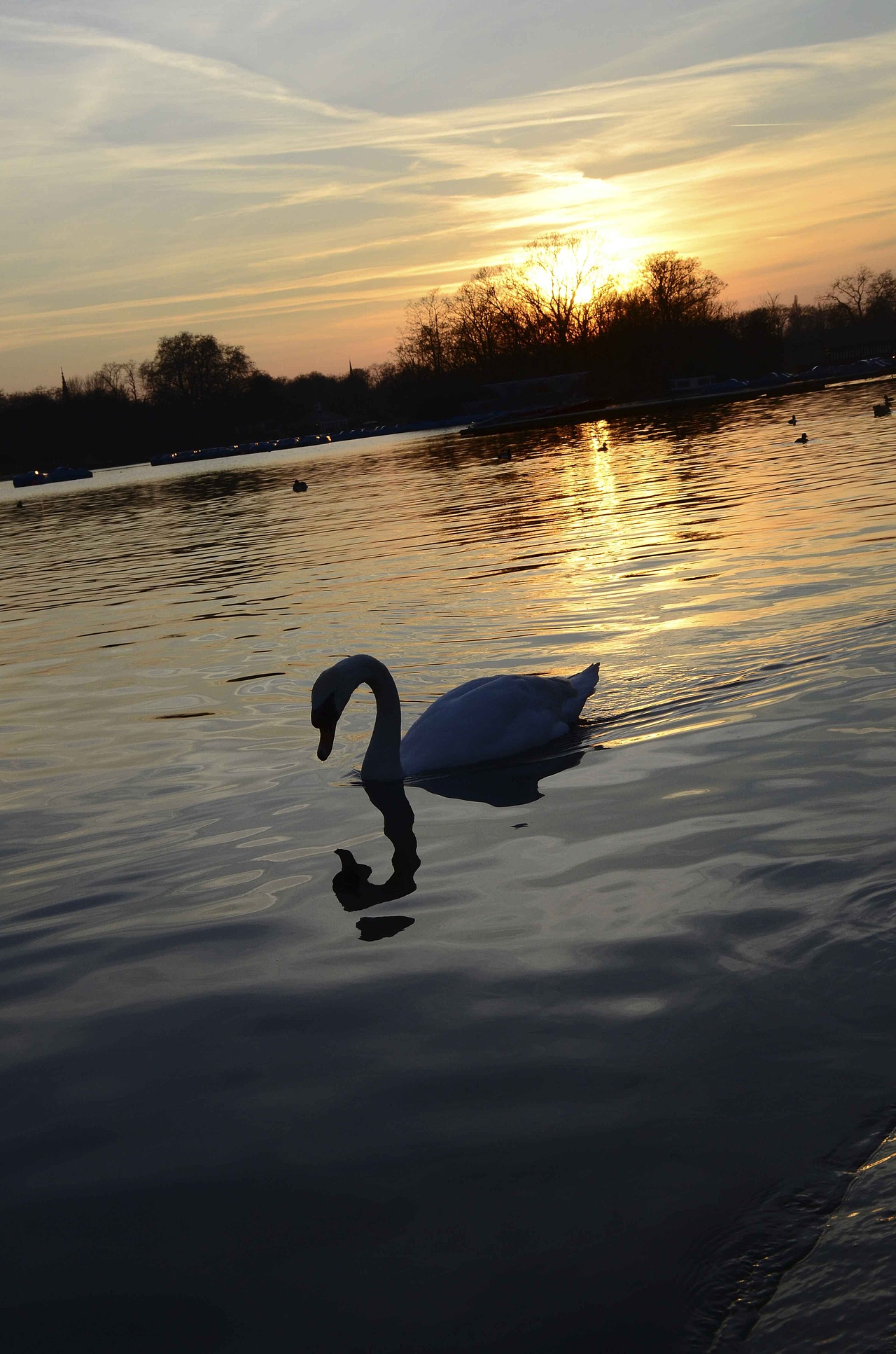 春天的海德公园——hyde park