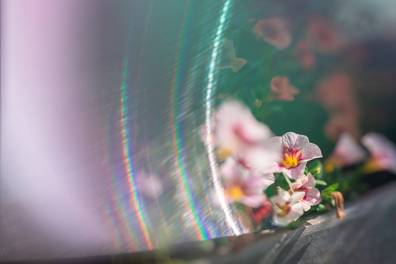 《要有光》（图ZMzA5OTYyNTQ4） - 风光摄影 - 站酷设计师Alex1205原创素材 - 站酷ZCOOL