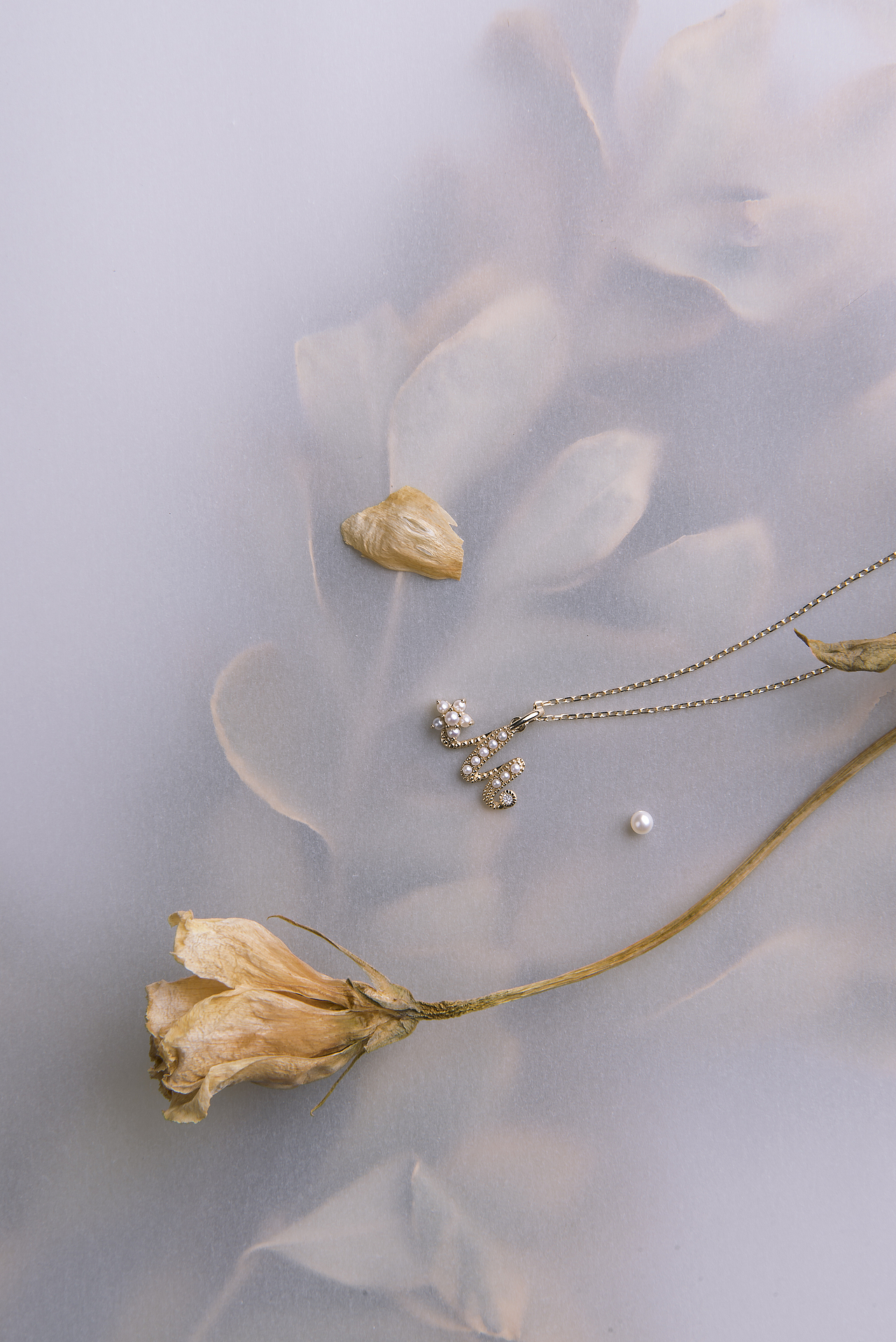 带珍珠的字母项链（图ZMTYxNzY5NDMy） - 产品摄影 - 站酷设计师Dim750原创素材 - 站酷ZCOOL