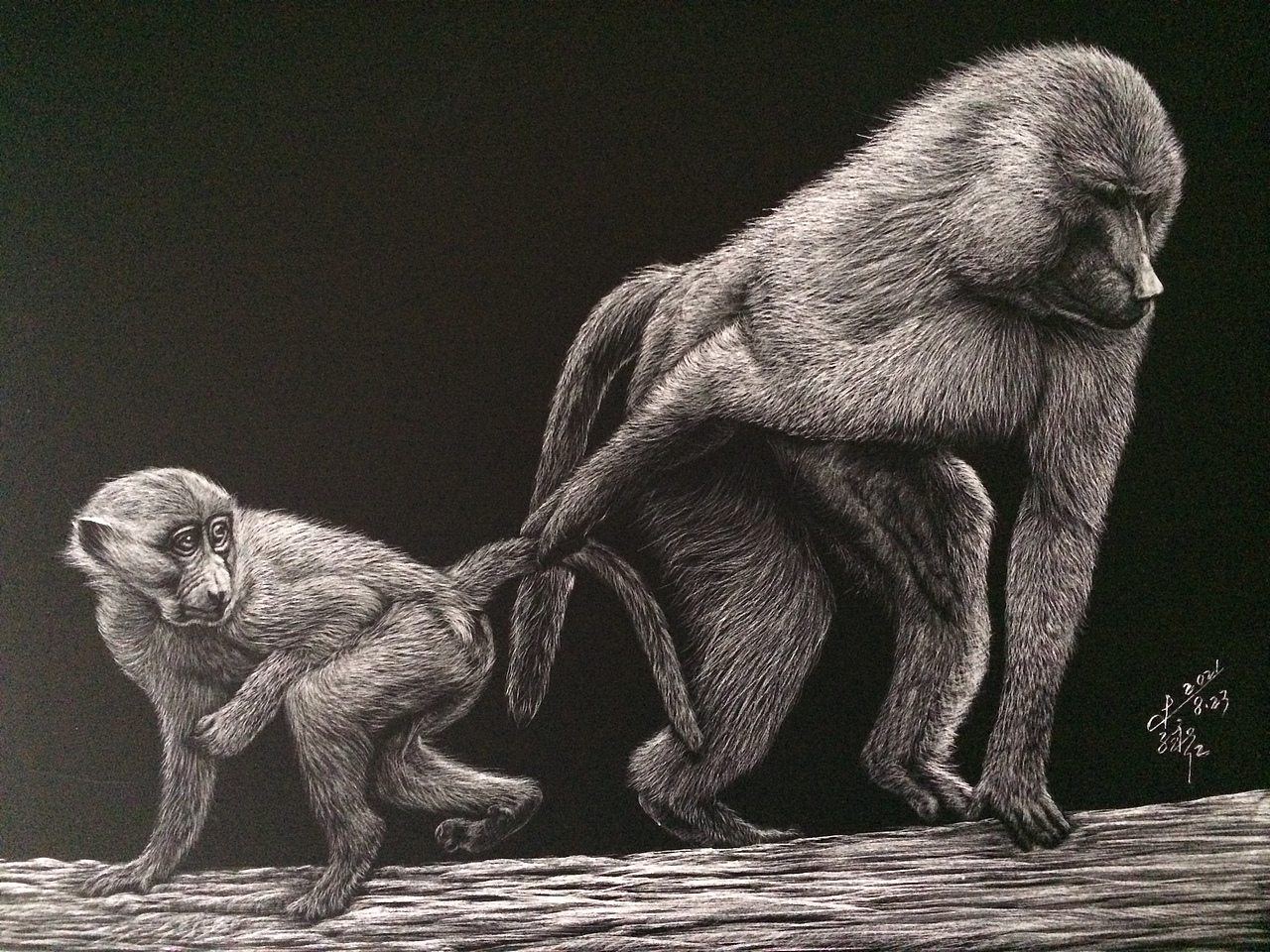 李子哥2021年刮画作品盘点（图ZMjgzNDM1MDI0） - 绘画 - 站酷设计师李子哥原创素材 - 站酷ZCOOL