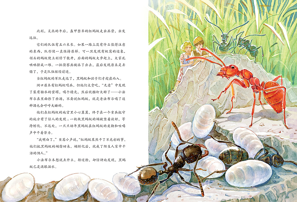 昆虫记人物绘本图片