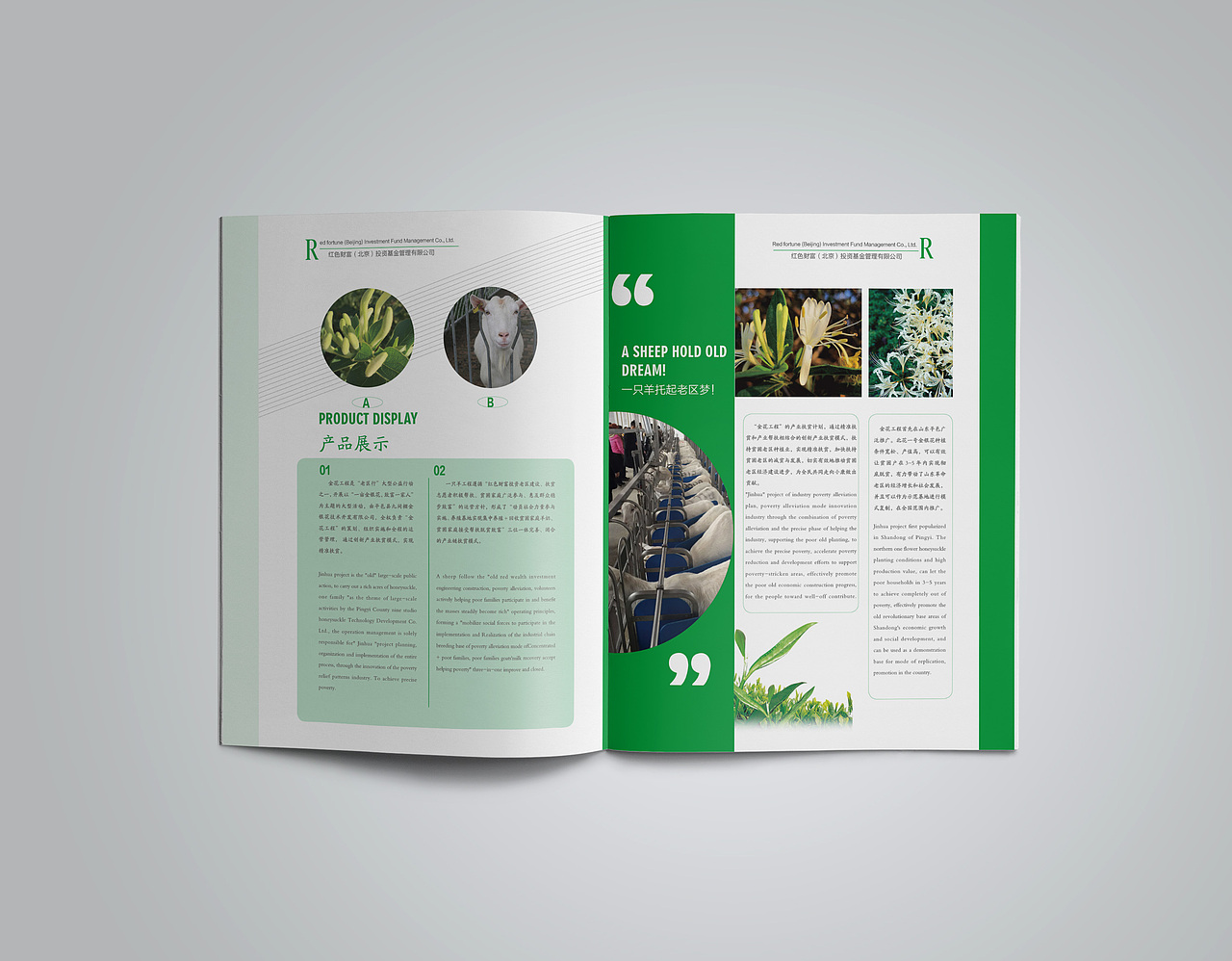 红色财富的项目画册（图ZNzAzNDY0OTY=） - 品牌 - 站酷设计师zfj奋斗的小丑原创素材 - 站酷ZCOOL