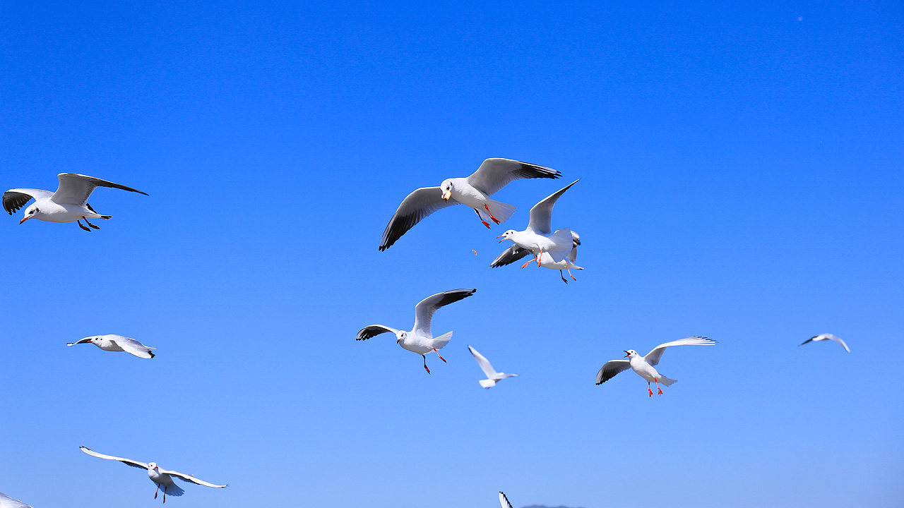 云南昆明滇池海埂大坝
