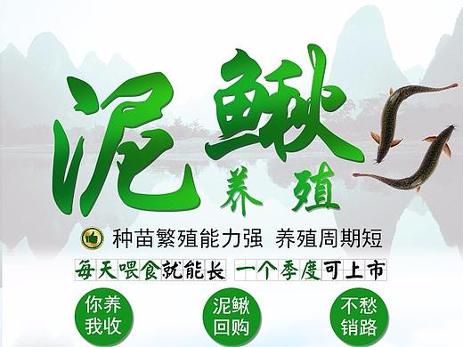 招商（个人主页-ZMzAyOTg5MzI=） - 其他平面 - 站酷设计师BbbZz_原创素材 - 站酷ZCOOL