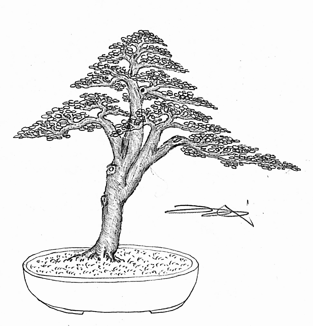 吕绍武手绘盆景设计效果图（图ZMTY4MDkwNTky） - 绘画 - 站酷设计师慧武原创素材 - 站酷ZCOOL