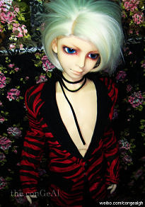 美人娃娃美神脸男梦想