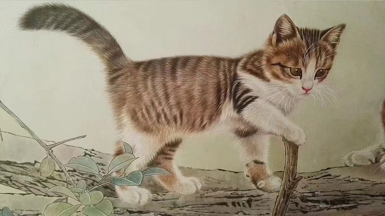 王涛工笔猫最新作品