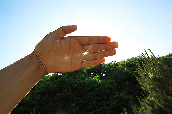我用手挡住了阳光...